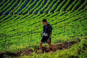 BIB: 
                            <button type="button" onclick="openModal(19160546)" class="btn btn-primary btn-sm float-right btn-popup" data-toggle="modal" data-target=".modal-high-quality">
                        <i class="fas fa-shopping-cart"></i> Add to Cart
                    </button>
                                            <button type="button" onclick="isThisMe(19160546, true)" class="btn btn-success btn-sm float-right btn-popup btn-isme hidden" data-toggle="tooltip" data-placement="bottom" title="นี่คือรูปของคุณใช่ไหม คลิกที่นี่เพื่อเอาเข้าอัลบั้ม">
                        <i class="fas fa-plus"></i> Add to album
                    </button>
                    <button type="button" onclick="isThisMe(19160546, false)" class="btn btn-warning btn-sm float-right btn-popup btn-isnotme hidden">
                        <i class="fas fa-ban"></i> Remove from album
                    </button>